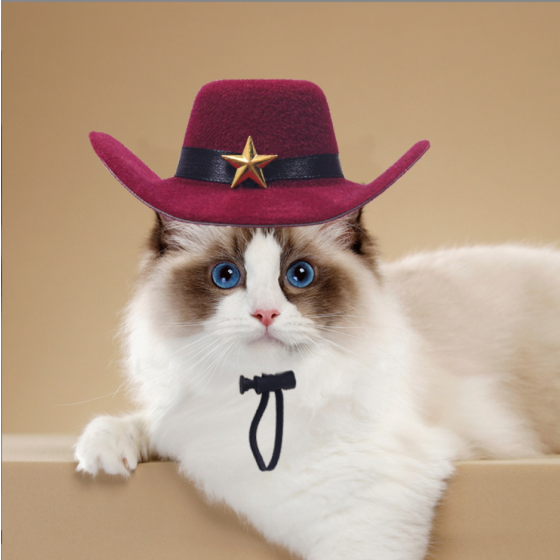 British Style Pet Denim Hat Set, Adjustable Retro Bandana & Cap for Dogs & Cats        宠物衣服背心用品狗狗猫咪夏季透气泰迪比熊法斗柯基，写一个吸引人的电商标题 推荐一些宠物衣服背心的电商平台 宠物衣服背心的市场规模有多大？